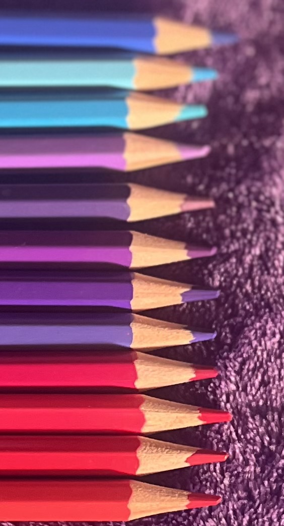 Pink, blue, and purple colored pencils lined up and photographed.